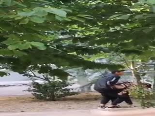 刚放假某省财经大学也不怕冷情侣跑到树荫下啪啪几个同学躲在宿舍里偷窥调侃