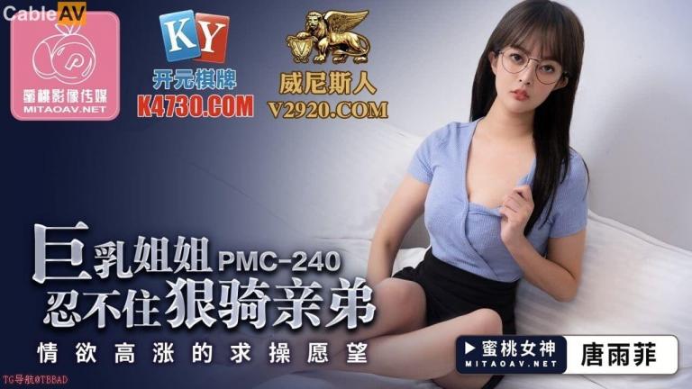 蜜桃影像传媒 巨乳姐姐忍不住狠骑亲弟